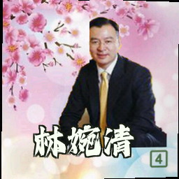 林婉清